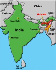 map of assam in relation to india